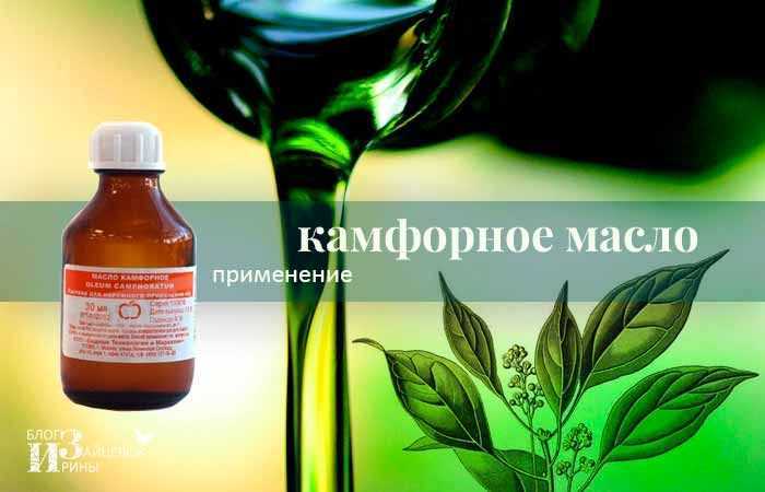 Дары природы: лучшие масла для волос