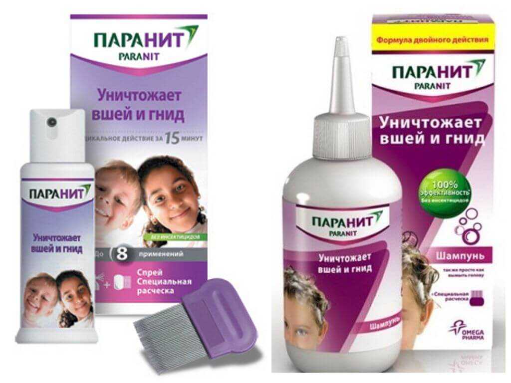 Как быстро и эффективно избавиться от вшей и гнид в домашних условиях