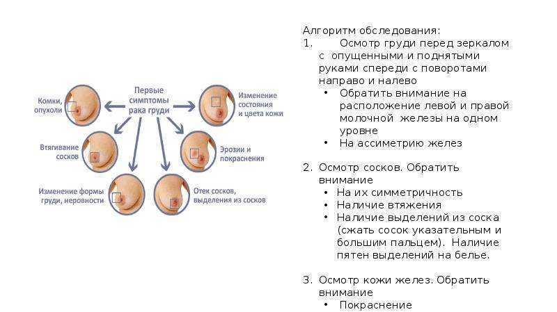 Травы от перхоти: какие растения помогают от зуда и выпадения волос, а также рецепты отваров и настоев