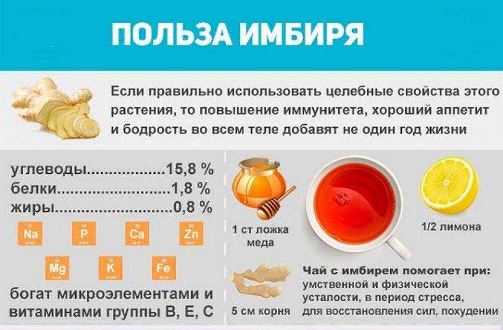 Имбирь – полезные свойства и противопоказания