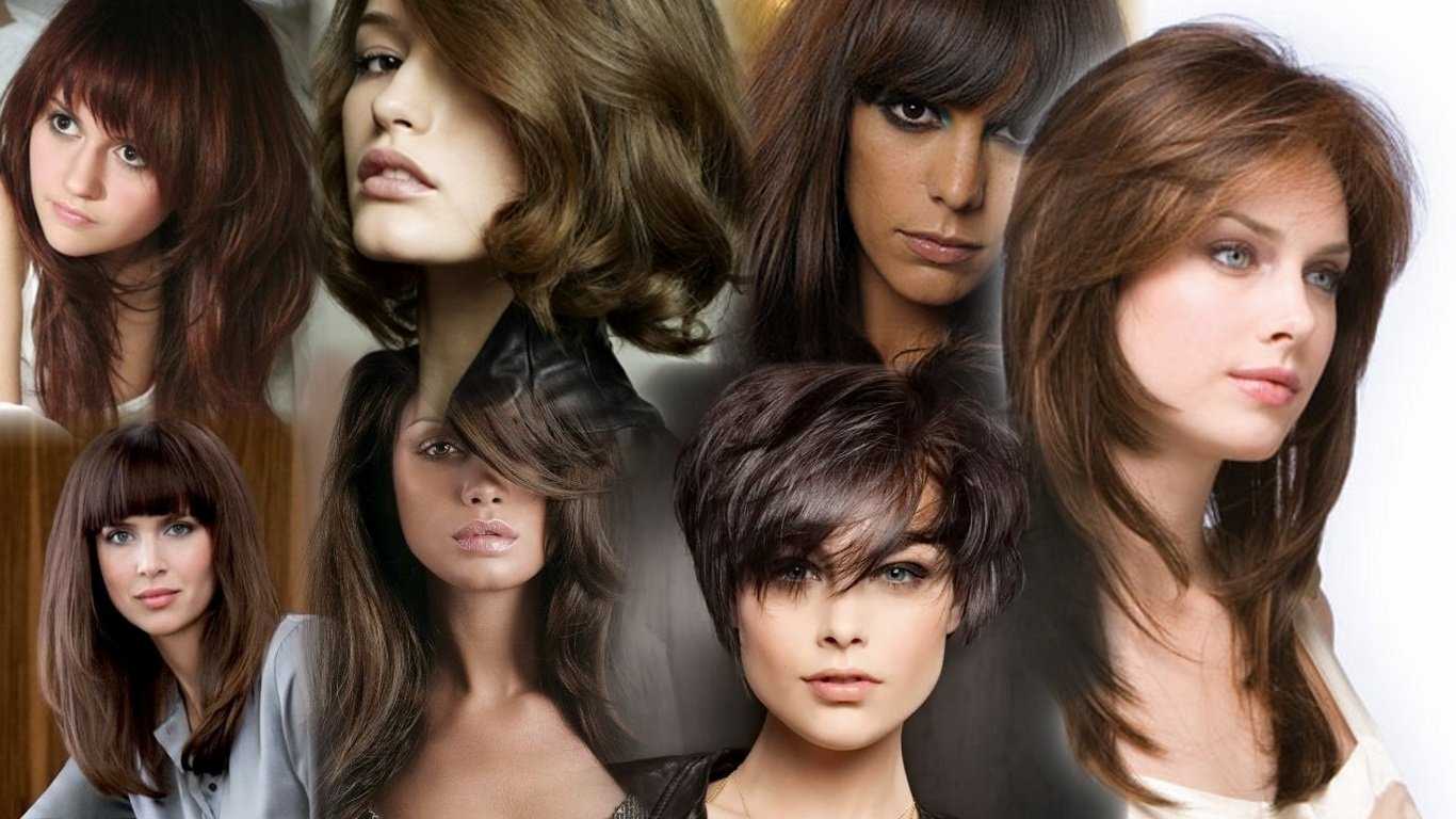 Женские стрижки для жестких волос: короткие и средние варианты с фото - женский журнал читать онлайн: стильные стрижки, новинки в мире моды, советы по уходу