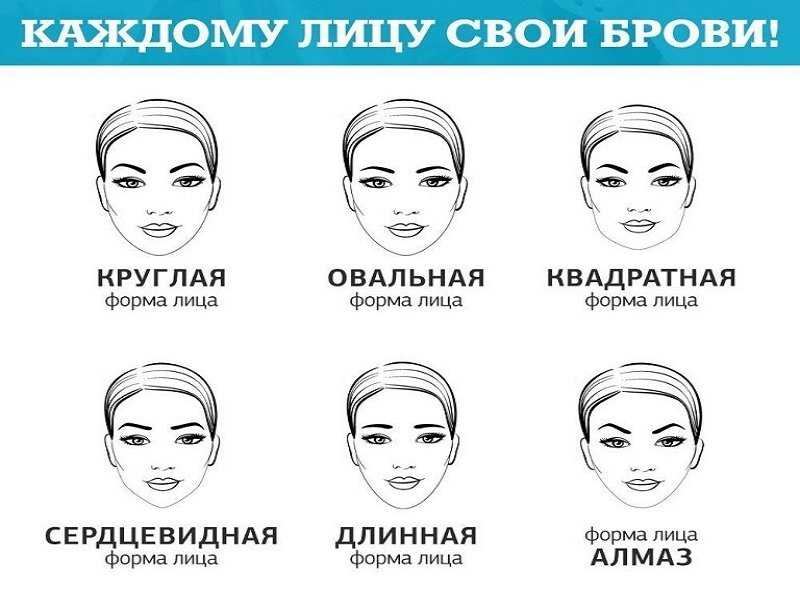Форма бровей по типу лица: как определить главные точки и подобрать подходящие пропорции, таблица