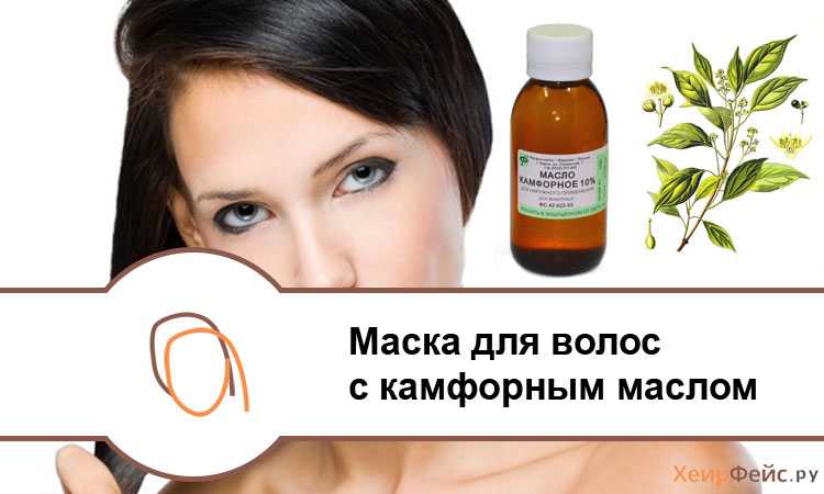 Как применять камфорное масло для роста волос Состав средства и как оно действует Противопоказания Лучшие рецепты масок