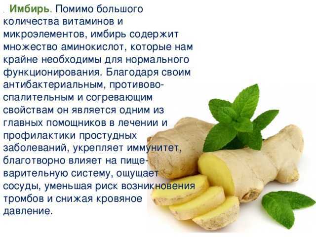 Имбирь для волос : рецепты имбирной маски, шампуня отвара для роста волос и от выпадения в домашних условиях