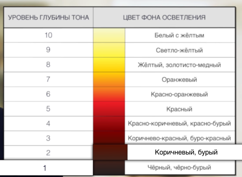 Колористика для начинающих парикмахеров с нуля: 5 основ базовой теории, уроки, таблица, азы и секреты исскуства с эстель