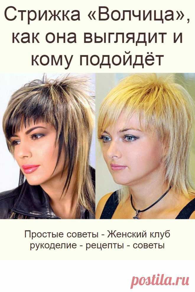 Стрижка волчица техника стрижки
