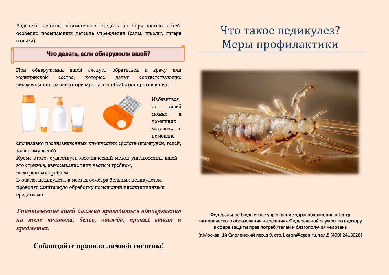 Педикулёз тела