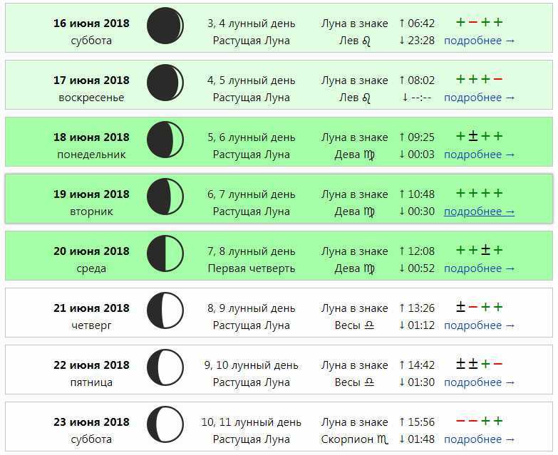 Стрижка на растущую луну: значение и влияние лунной фазы
