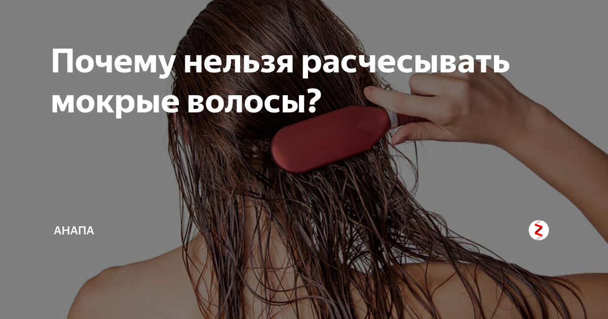 Почему нельзя расчесывать. Нельзя расчесывать мокрые волосы. Почему нельзя расчесывать мокрые волосы. Расческа для мокрых волос. Не расчесывайте мокрые волосы.