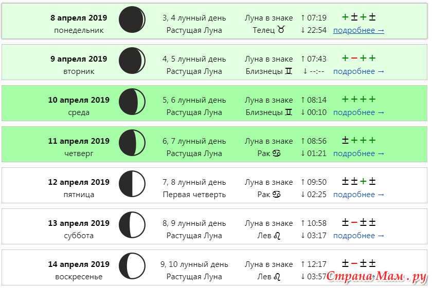 Календарь стрижки волос фазы луны Лунные дни стрижек в марте 2024 года: найдено 78 изображений