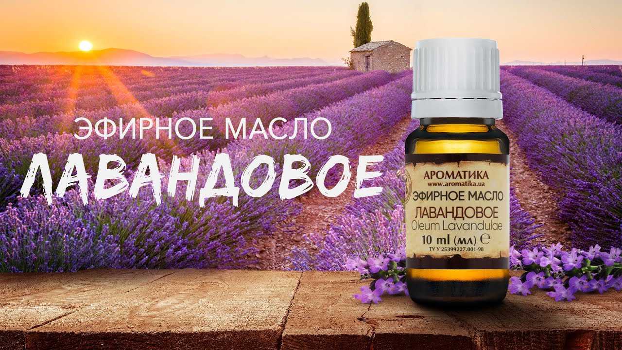 Эфирное масло лаванды для волос: способы применения и отзывы об использовании