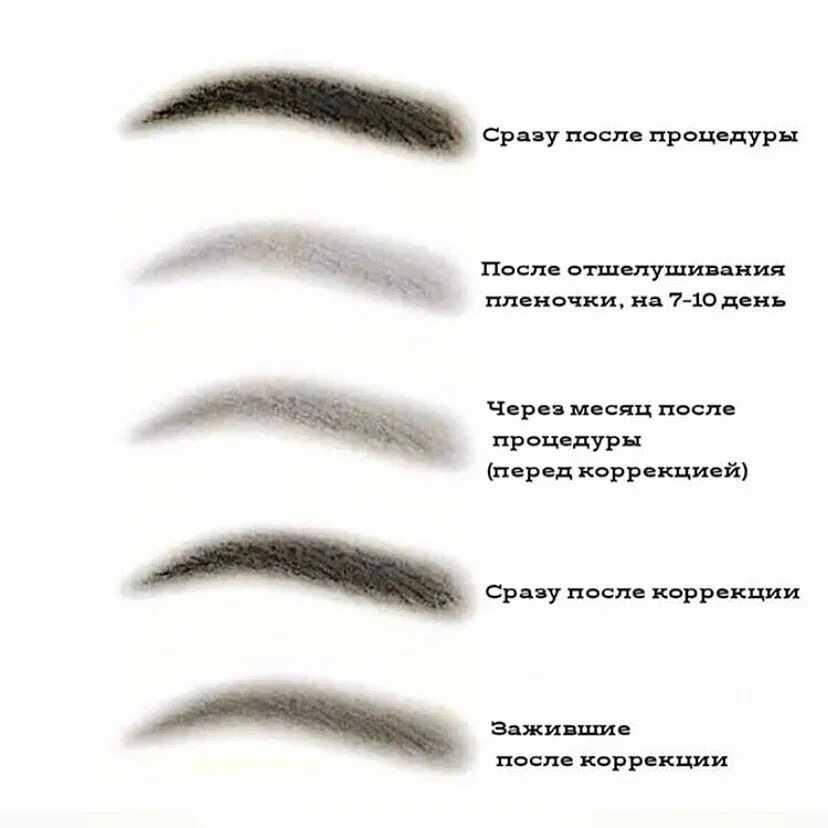 Пудровые брови - основные техники и методы