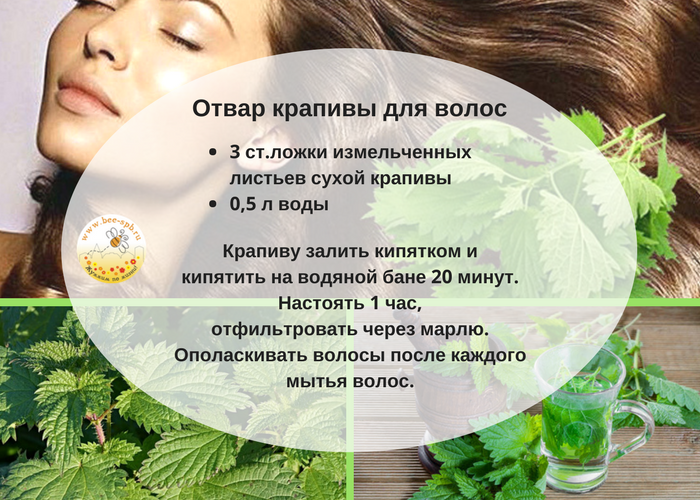 Крапива для волос.