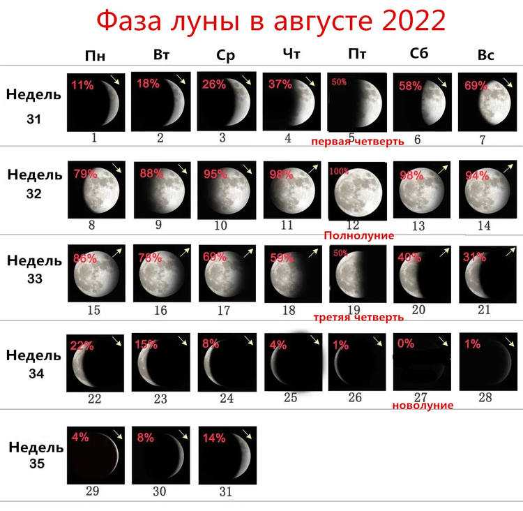 Парикмахеру на заметку: лунный гороскоп стрижек волос на 2023 год