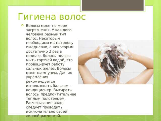 Можно ли мыть голову каждый день – зависит от типа волос