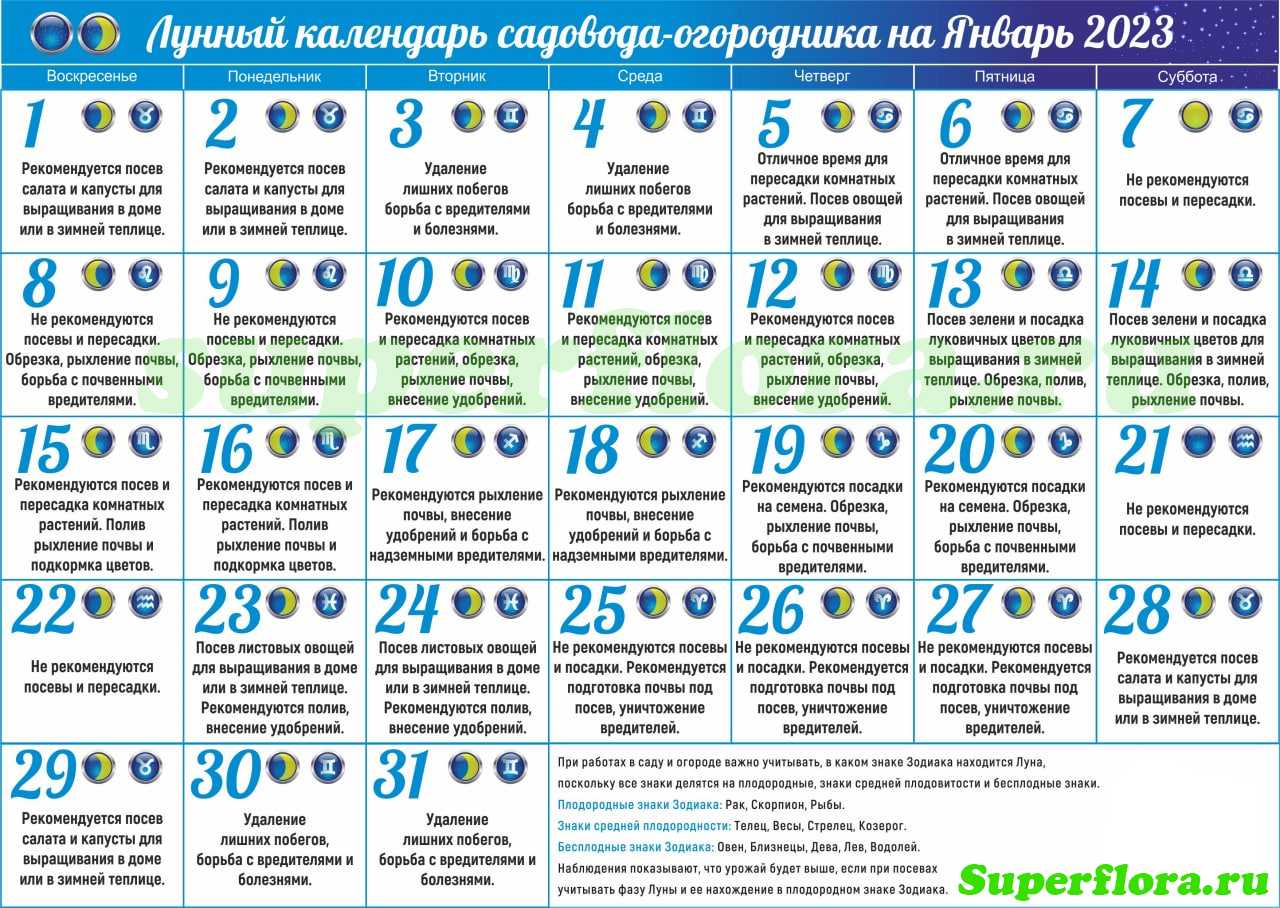 Лунный календарь стрижки волос по дням на январь 2023 :: инфониак