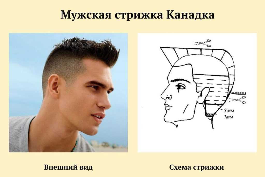 Стрижка «площадка»: фото короткой мужской причёски «платформа», видео как стричь, технология выполнения, способы модельной укладки для парней, кому подходит, примеры знаменитостей