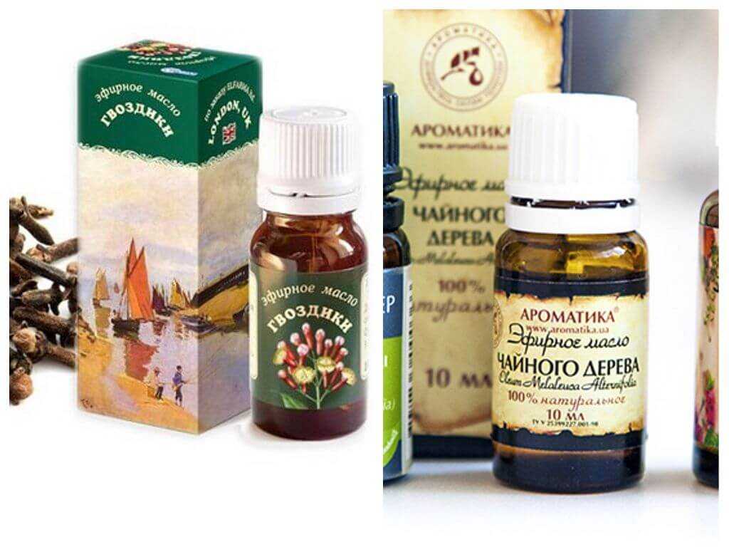 Эфирное и обычное масло от вшей и гнид: репейное, подсолнечное, кокосовое