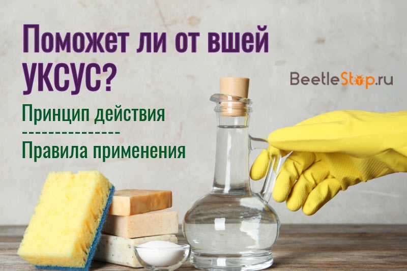 Как применять керосин при педикулёзе: рецепты и способы