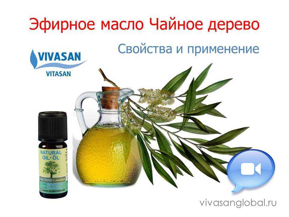 Эфирное масло чайного дерева для волос: способы применения и отзывы