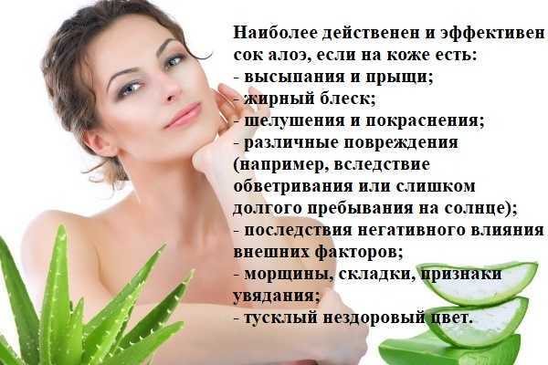 Алоэ для волос: способы применения в домашних условиях, рецепты масок - хорошо выглядеть!