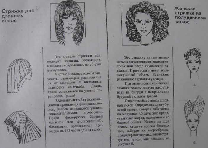 Стрижки на короткие волосы: техника выполнения с фото и видео