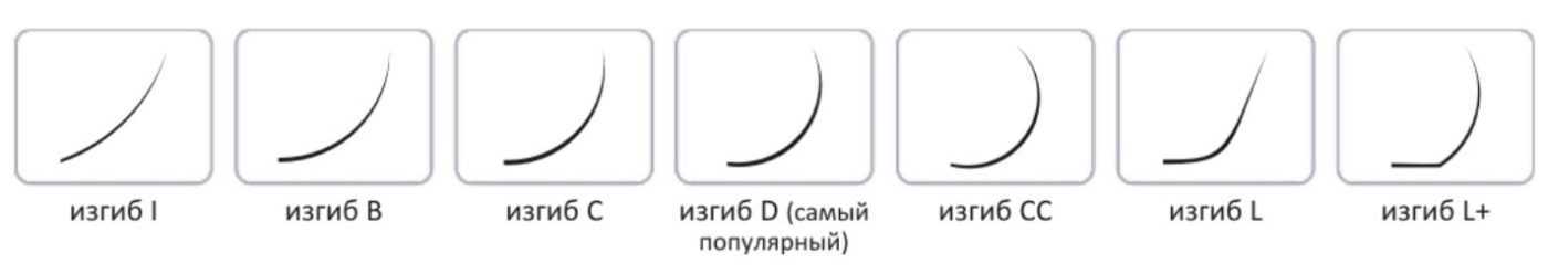 Изгибы ресниц - что важно знать?