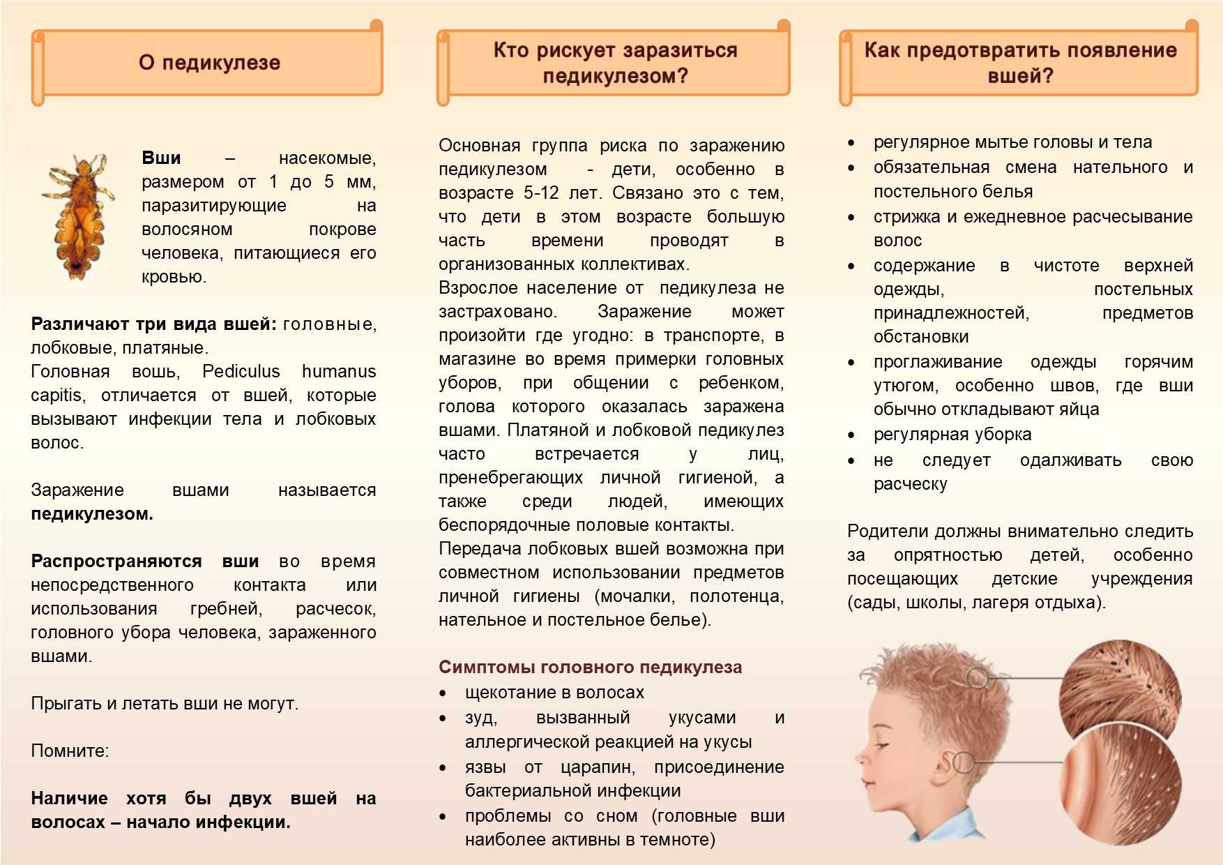 Как отличить перхоть от гнид на волосах, фото чем они отличаются