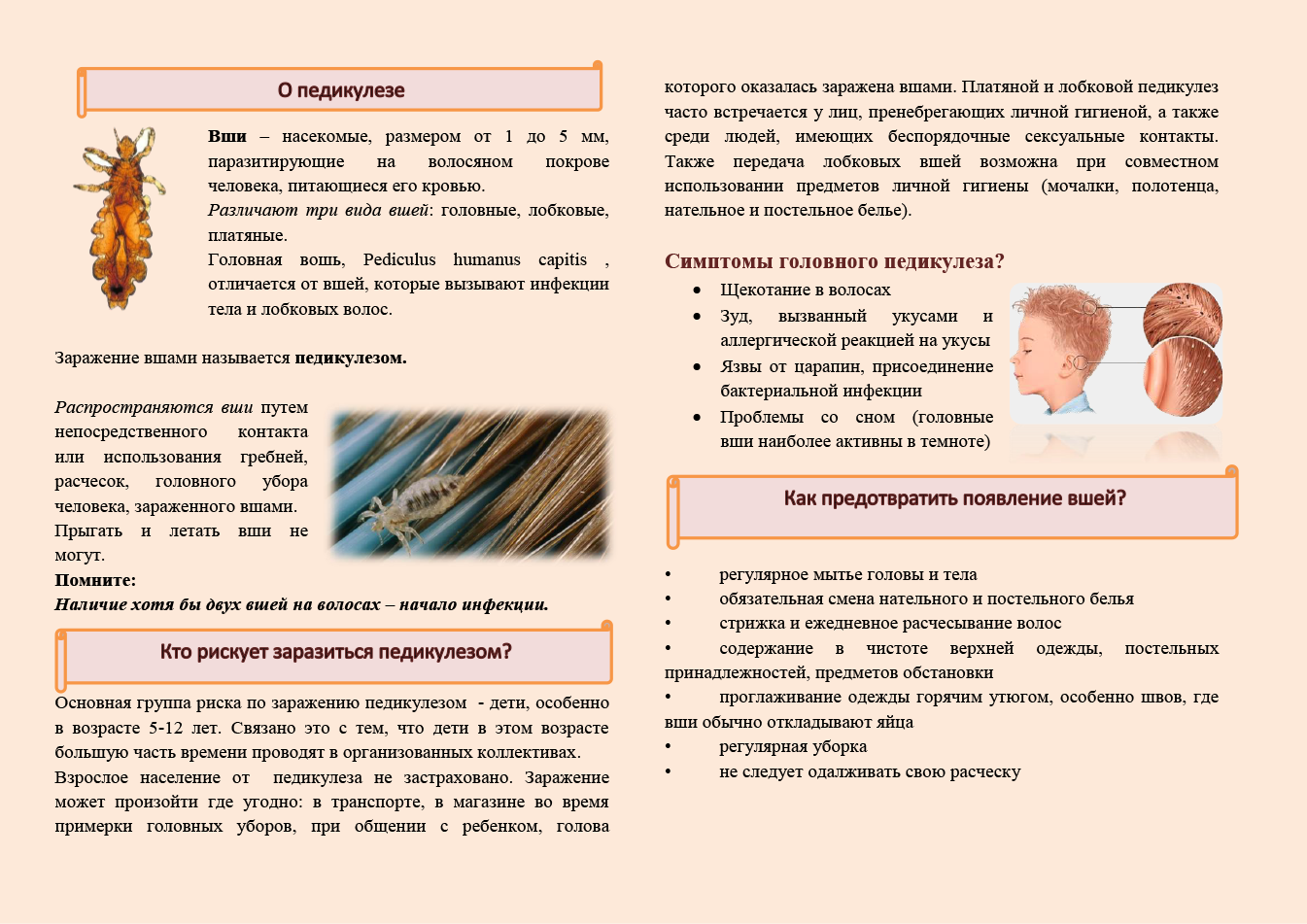 Педикулёз – это не стыдно! - статьи - клиника «c нуля» (здоровая семья)