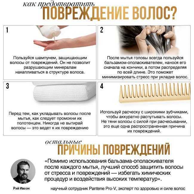 Сухие волосы — чем их увлажнить в домашних условиях