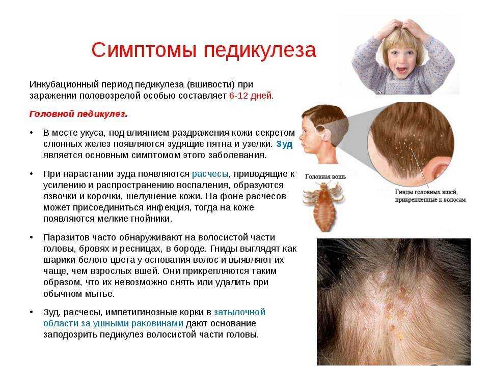 Как убрать рыжину с волос после хны или неудачного окрашивания (+видео)