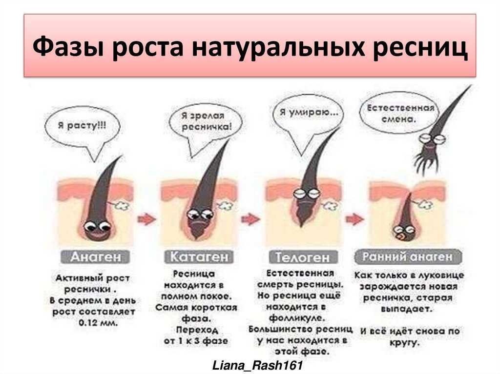 Не растут брови что делать