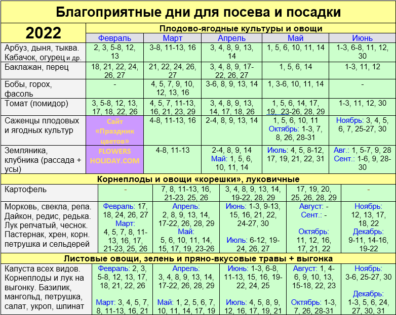 Когда можно стричь волосы по оракулу в октябре 2021 года, благоприятные и неблагоприятные дни месяца