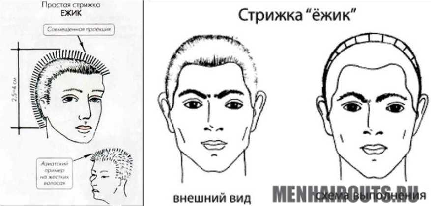 Короткие мужские стрижки: фото модных и стильных стрижек