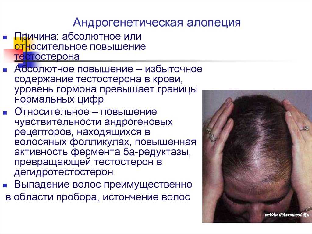 Гербион® - фитоэксперт в лечении кашля | гербион