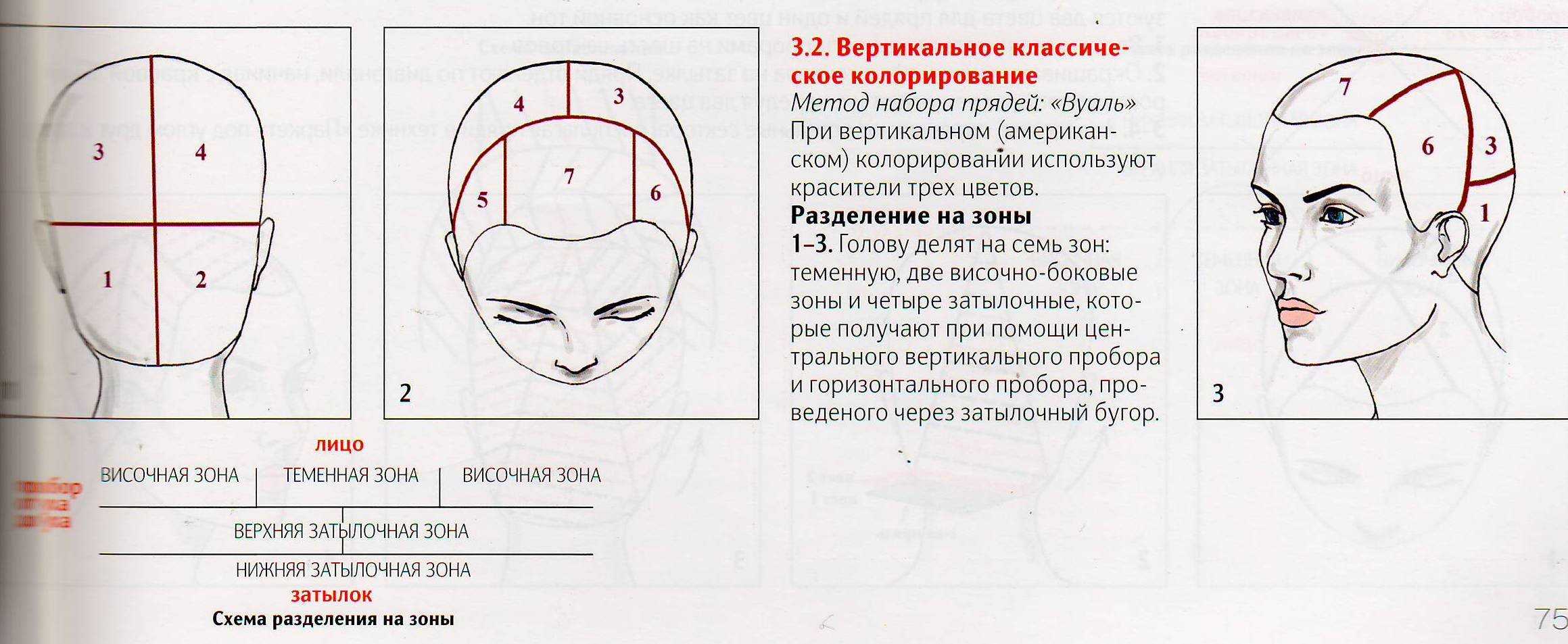 3d-окрашивание: 88 фото и описание технологии