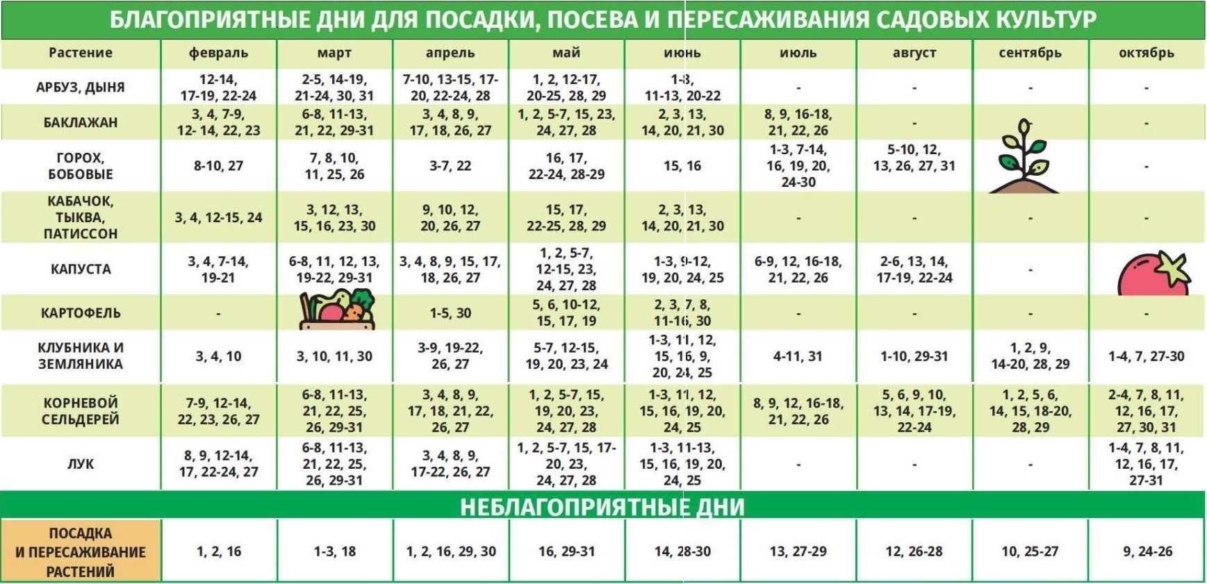 Лунный календарь стрижки волос на 2022 и 2023 год. когда стричь волосы