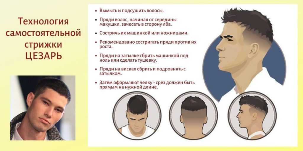 Стрижка цезарь для мужчин и для мальчиков: техника, схемы, фото – thevolosy