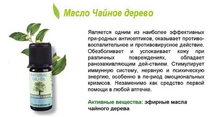 Масло чайного дерева от перхоти: отзывы и особенности применения