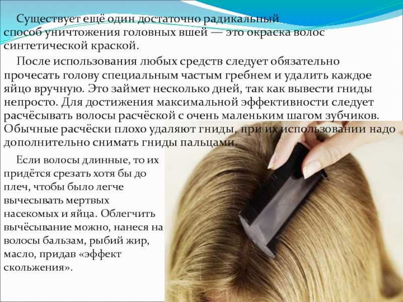 При какой температуре погибают вши и гниды, поможет ли мороз?