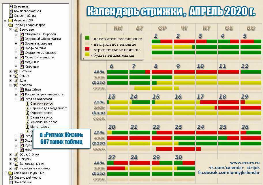 Когда стричь волосы в апреле 2021. лучшие дни для стрижки в 2021 году.