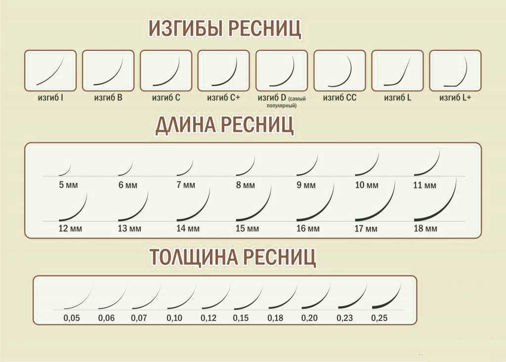 Виды изгибов ресниц для наращивания, отличия эффектов, фото и названия