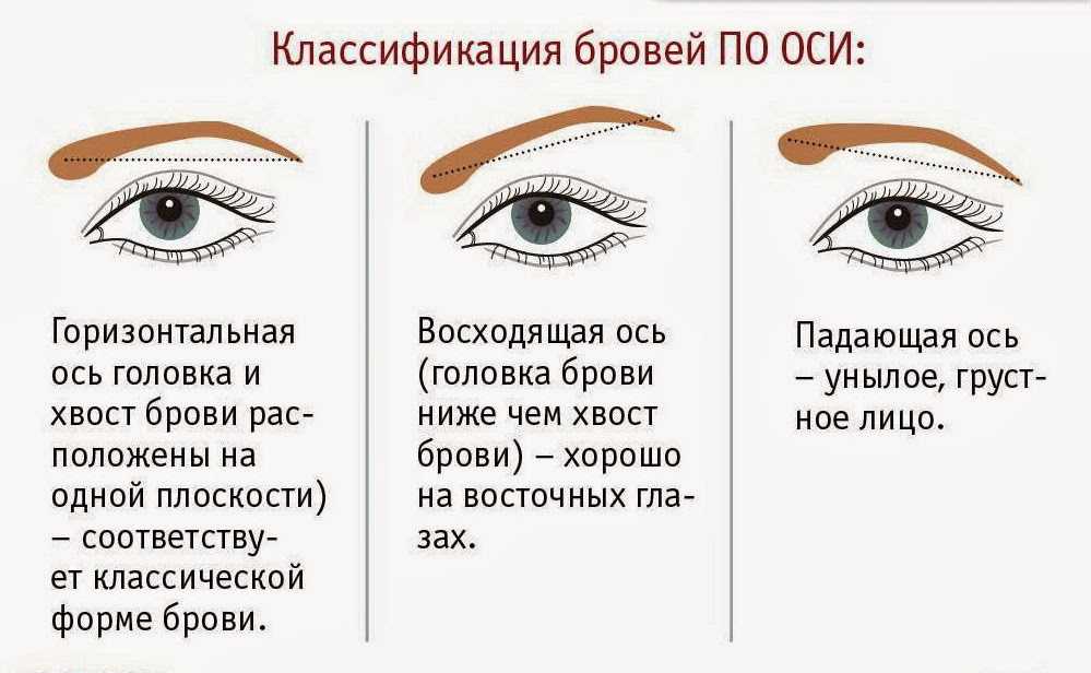Как сделать брови темнее и гуще в домашних условиях, рецепты краски