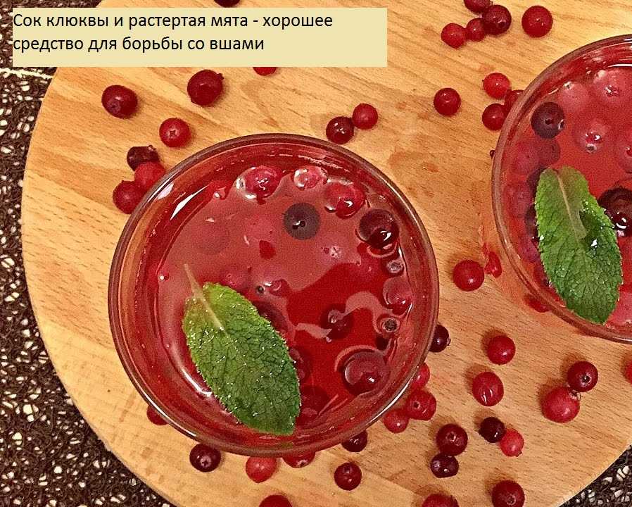 Клюква от вшей и гнид: рецепт, клюквенный сок, как применять для волос: плюсы и минусы