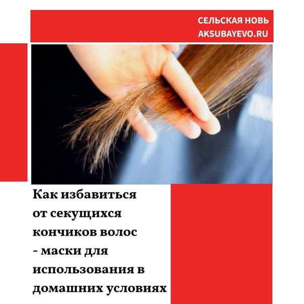 Как подстричь кончики волос самостоятельно самой себе в домашних условиях на длинных волосах
