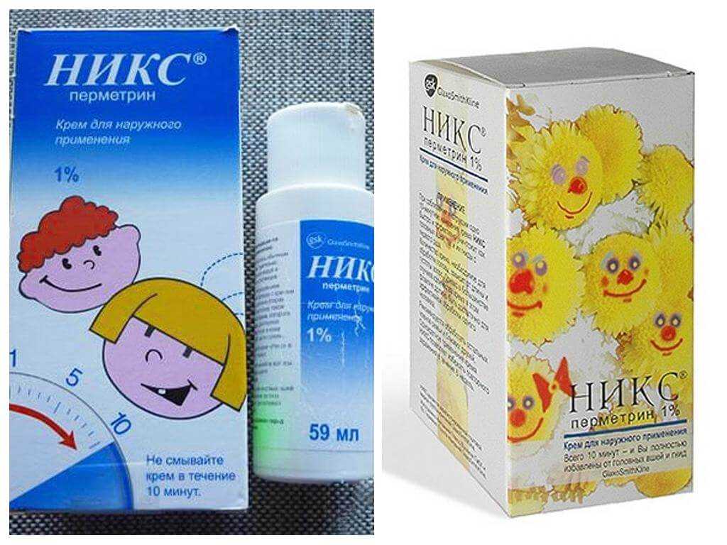 Вши (педикулез)